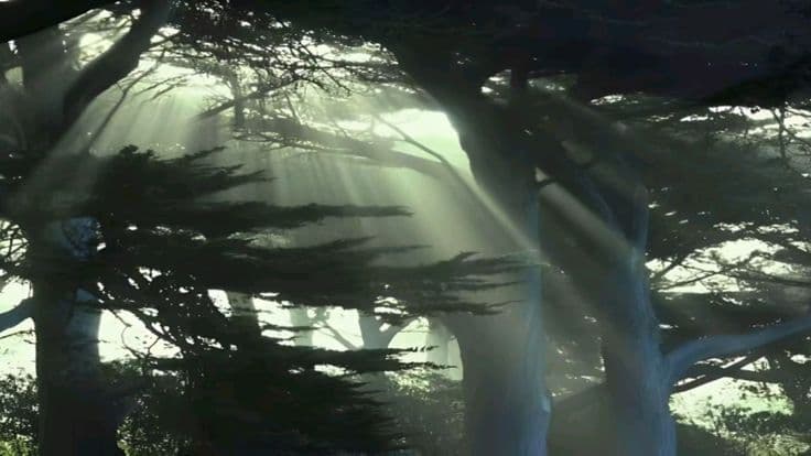 Banner image